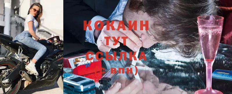 Cocaine VHQ  цены   Камызяк 