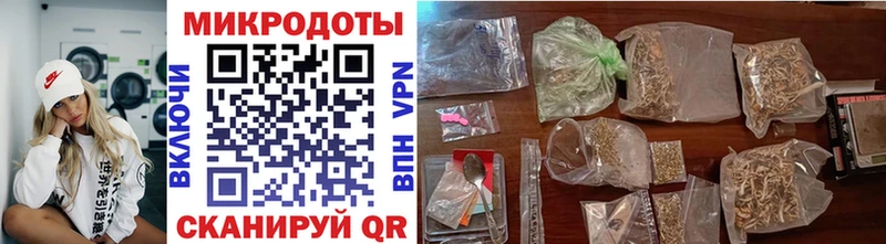 ОМГ ОМГ   Камызяк  Псилоцибиновые грибы Psilocybine cubensis 